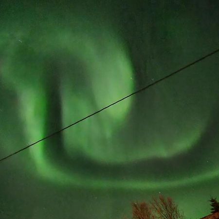 Lofoten Overnatting - 巴尔斯塔 外观 照片